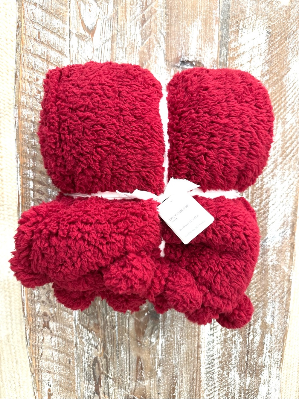 Pottery Barn Cozy Pom Pom Throw